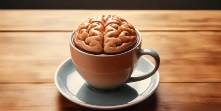 تاثیر قهوه و چای روی یادگیری مغز چیست؟,